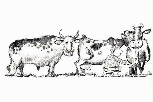 Bad Bull.jpg (24870 byte)