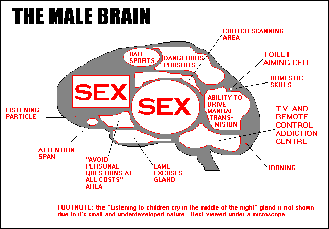 Male.gif (10924 byte)